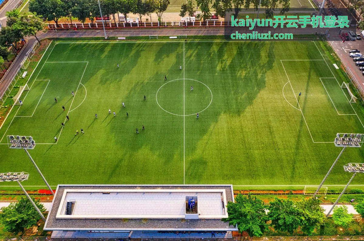 kaiyun开云手机登录 通勤途中完成手机端登录的场景
